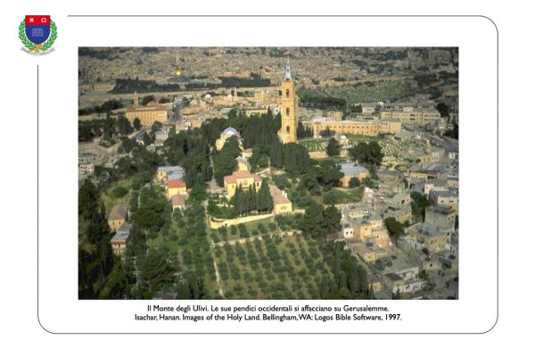 Monte degli Ulivi 01