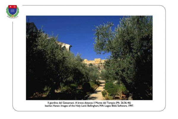 Monte degli Ulivi 03